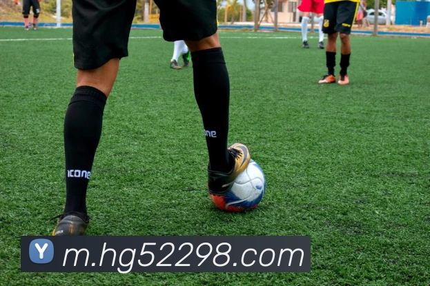 互动解说服务